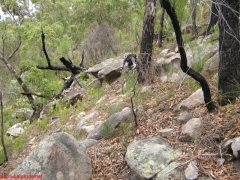 20070114-Coba 315 